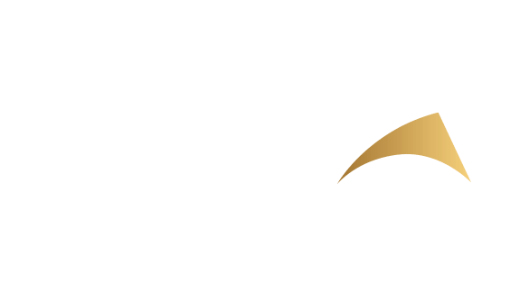 project logo